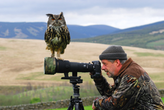 Wildlife, Landscapes and Environmental Images